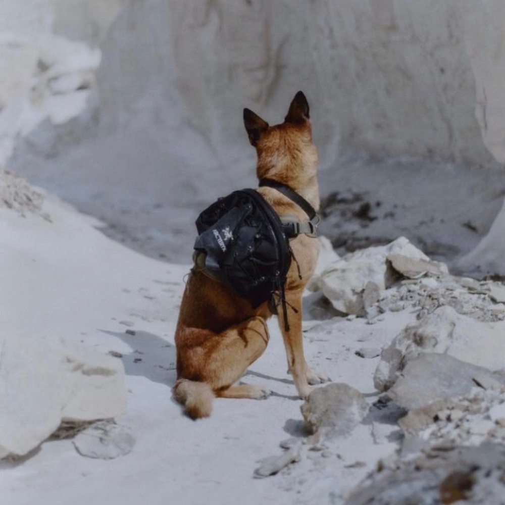 Meet your Posher, Julian